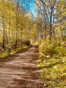 A Scottish Highlands Autumnal Walk